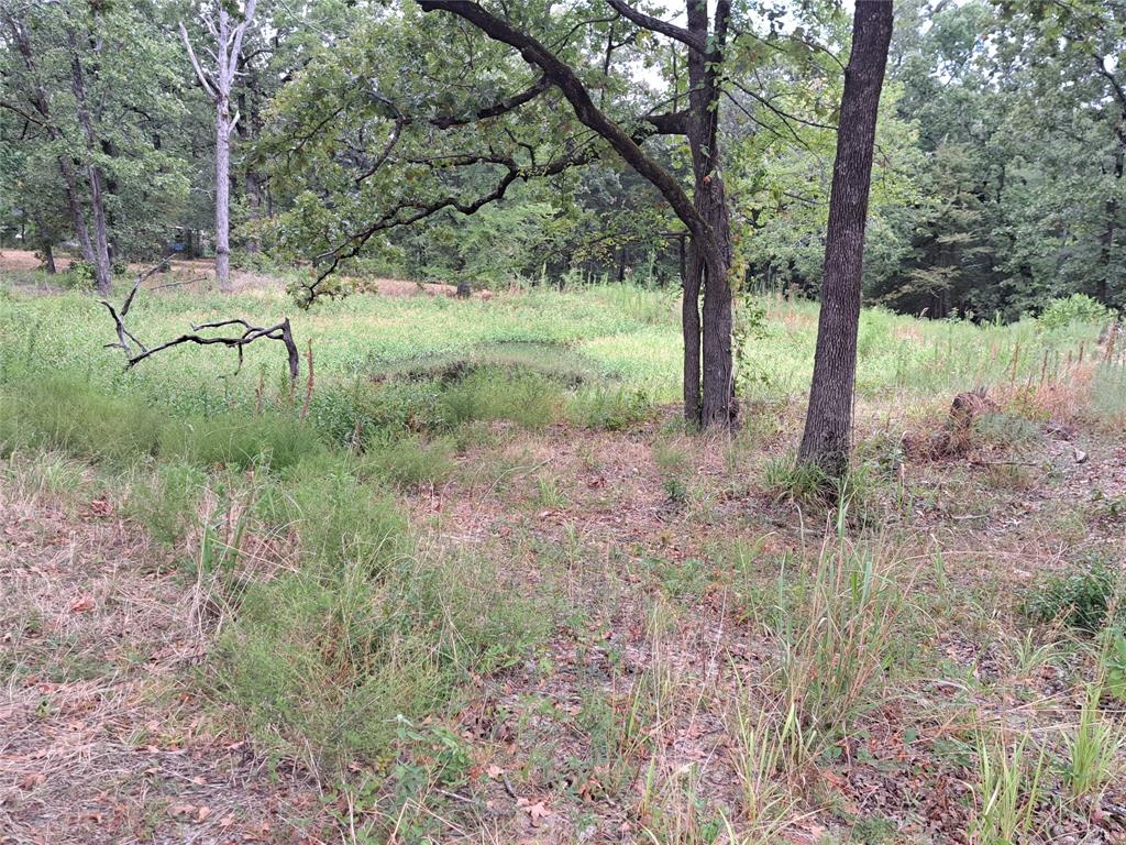 Lake Fork Estates - Land