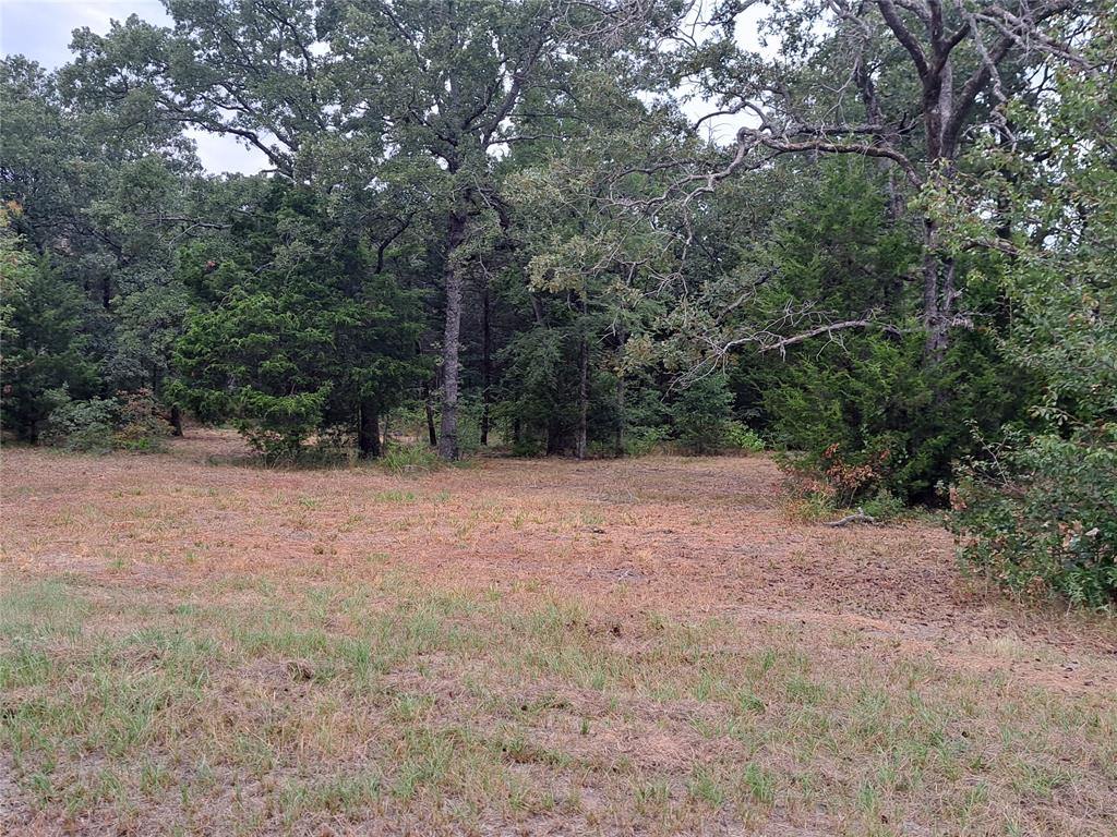 Lake Fork Estates - Land