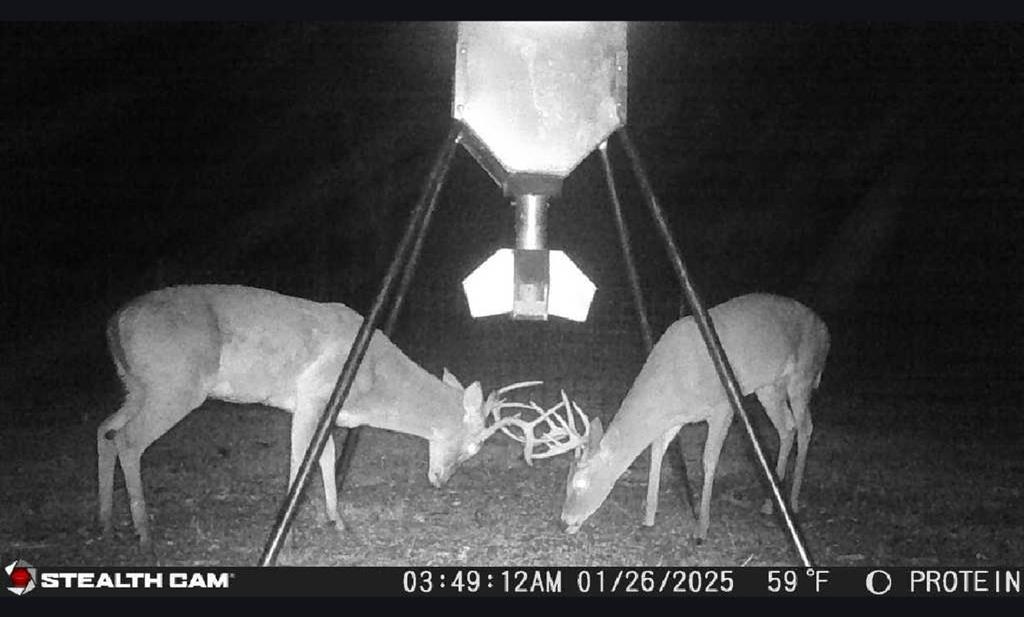 BLUEBONNET ESTATES - Residential