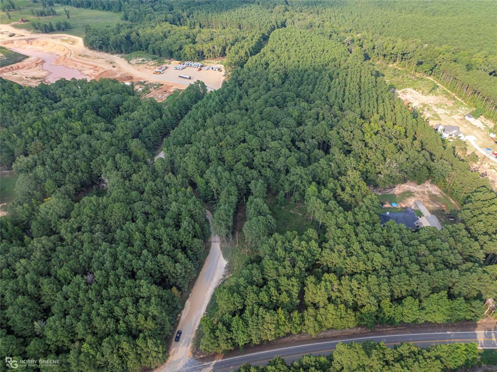 Dry Cypress South - Land