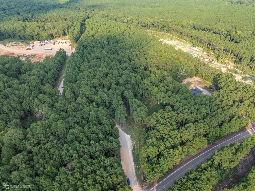 Dry Cypress South - Land