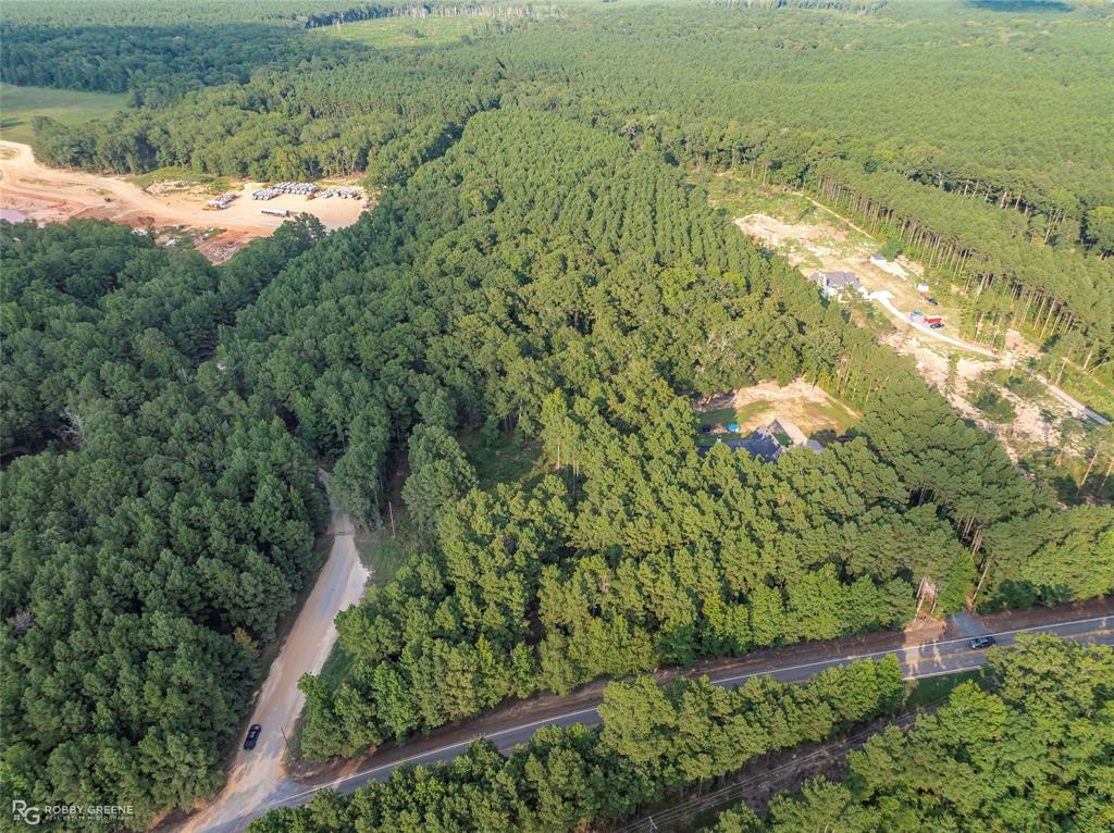 Dry Cypress South - Land
