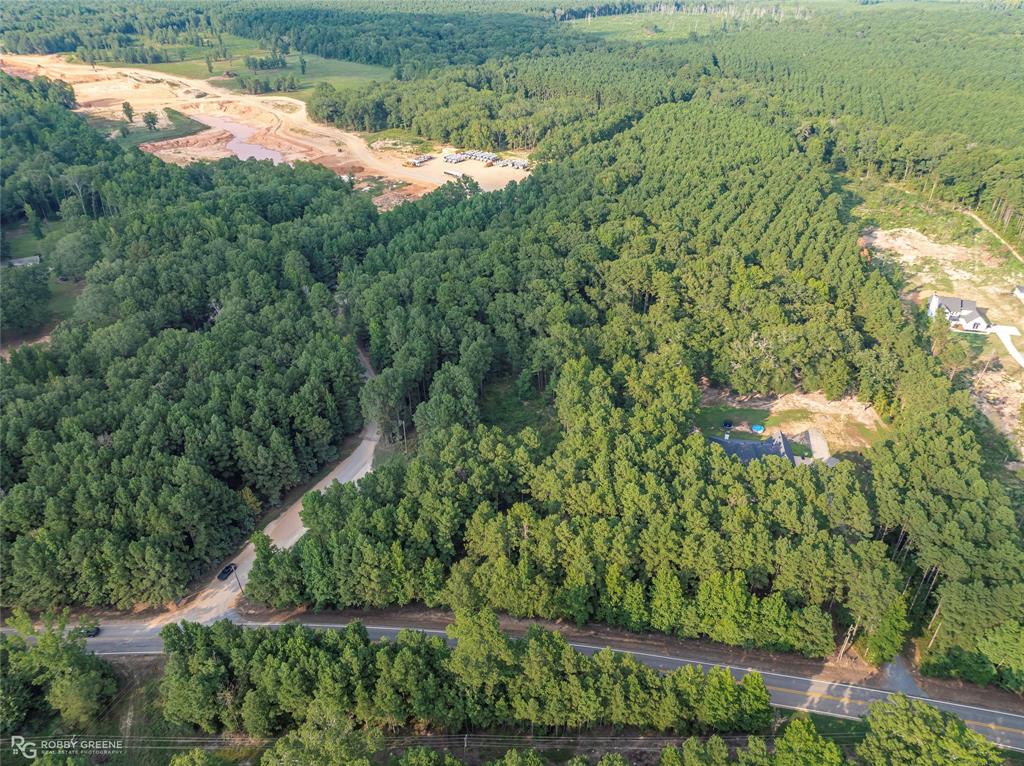 Dry Cypress South - Land