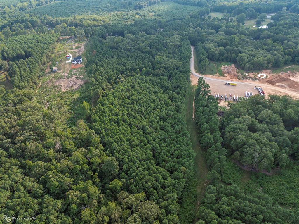 Dry Cypress South - Land