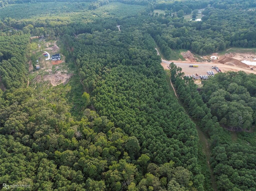 Dry Cypress South - Land