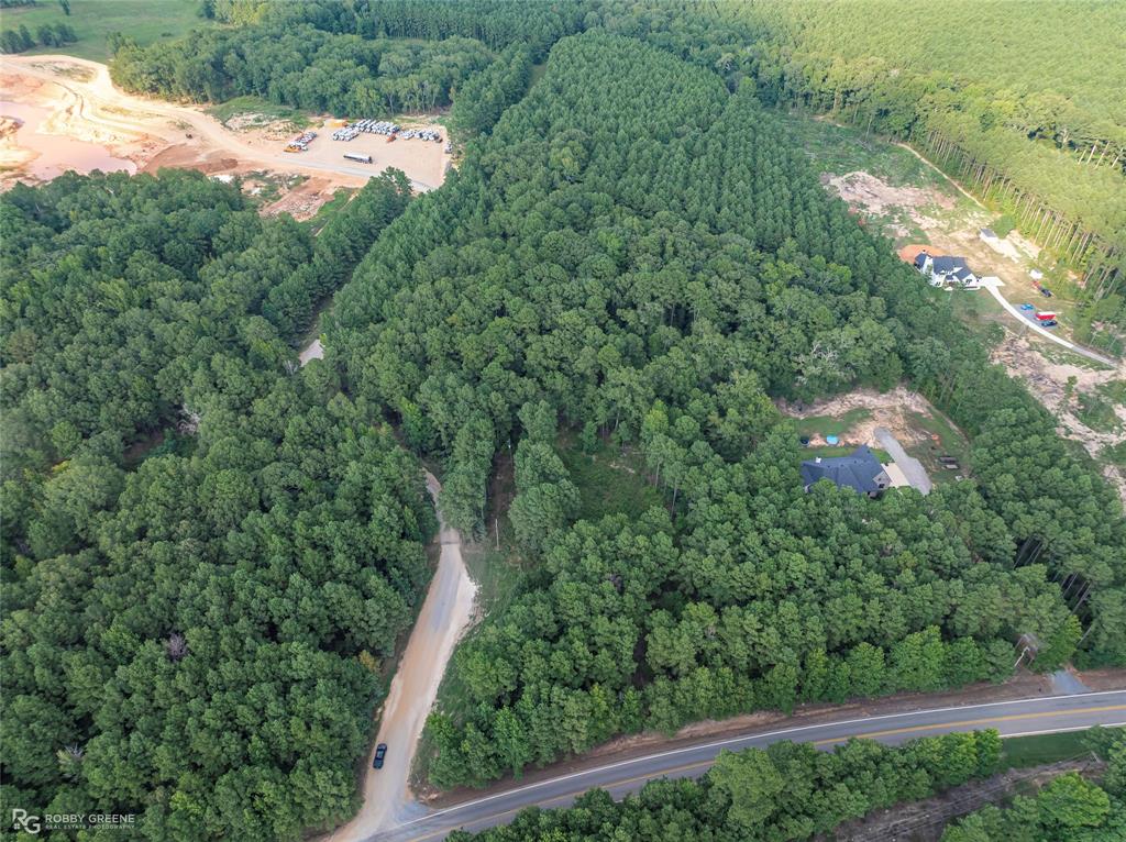 Dry Cypress South - Land