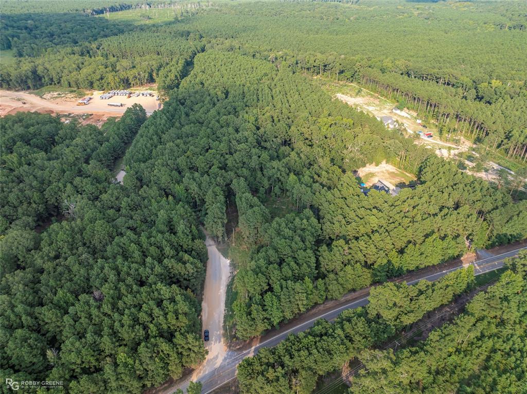 Dry Cypress South - Land