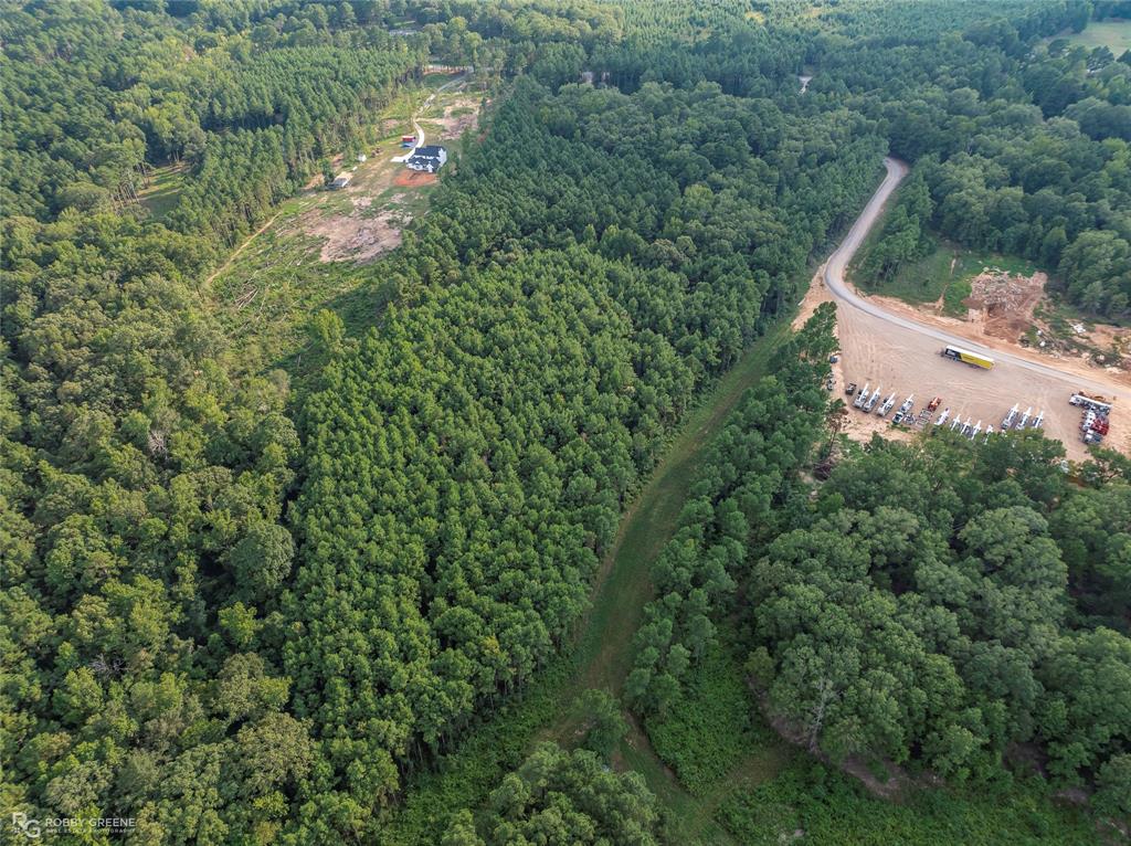 Dry Cypress South - Land