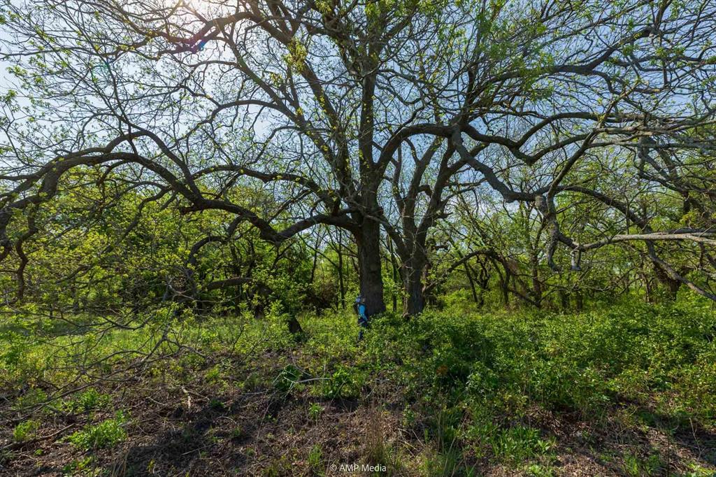 5090 County Road 182