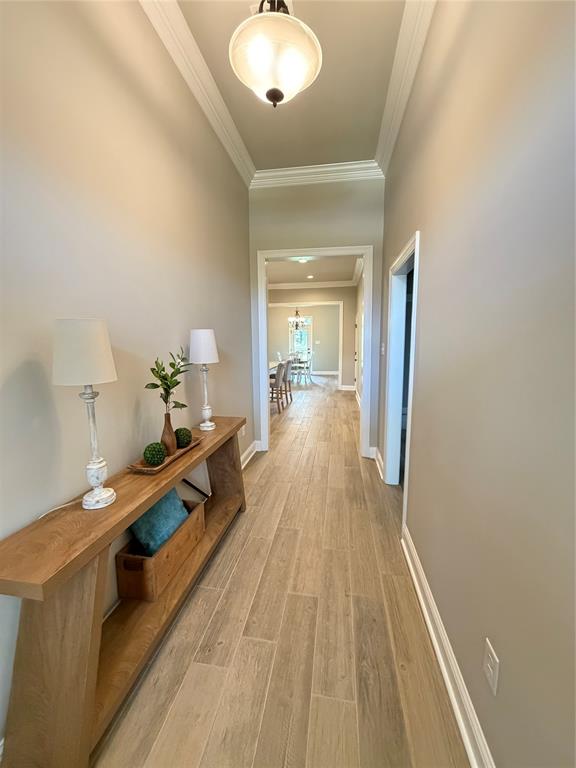 457 Mangrove Lane