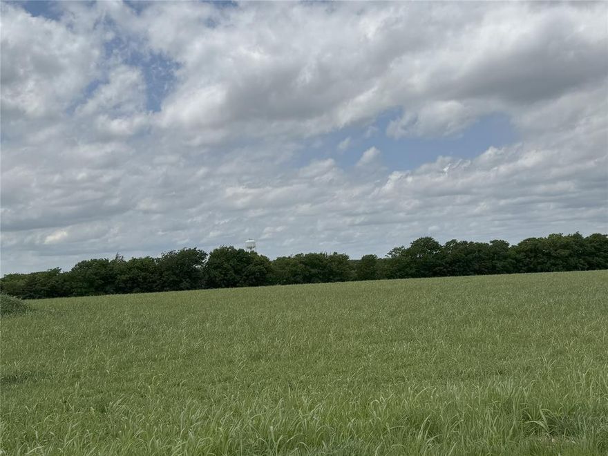 Four acres of mix of open land and trees. Perfect homesite location being just rural enough to enjoy some privacy and fresh air, while still being within a quick 7 minute drive to Waxahachie's shopping district and schools. Even Dallas isnt out of reach! With reasonable deed restrictions ensuring the quality of the area remains clean, beautiful, and to a higher standard. Waxahachie school district, no city taxes and Water taps included on each lot.