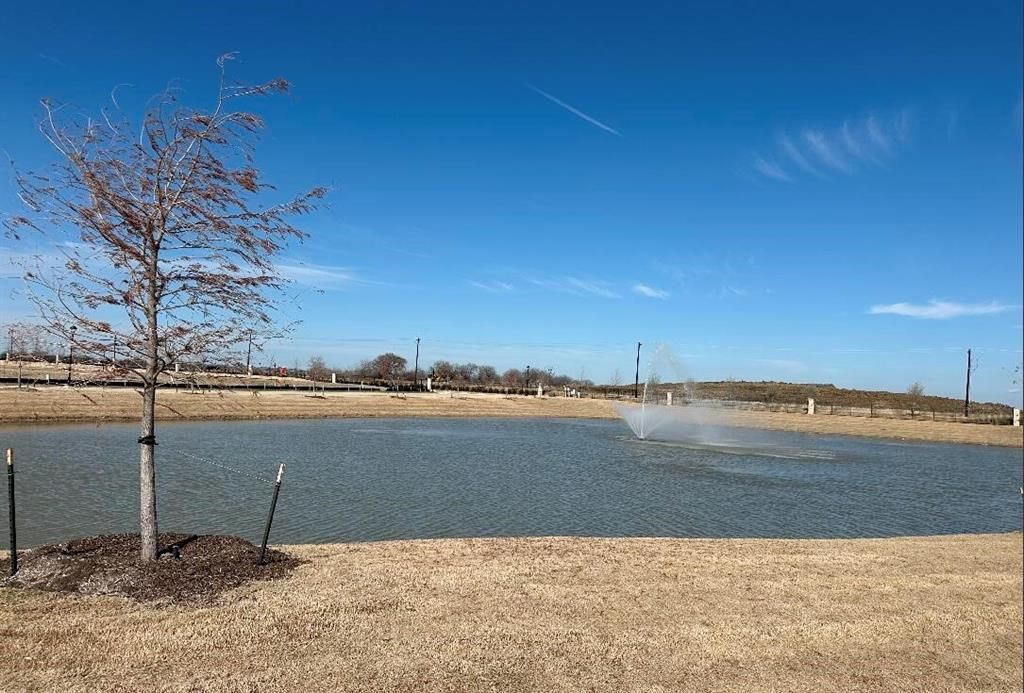 Photo of 850 Urbana Drive, Prosper, TX 75078 (MLS # 21194534)