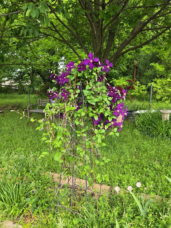 Hacienda Estate - Residential