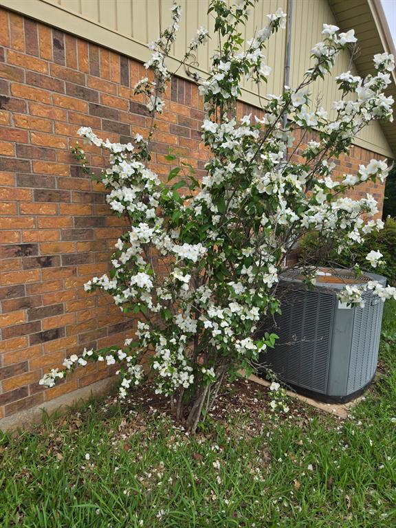 Hacienda Estate - Residential