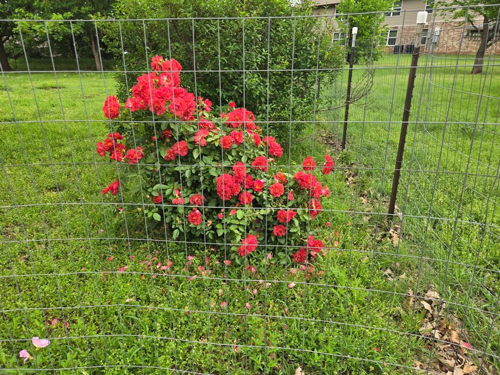 Hacienda Estate - Residential