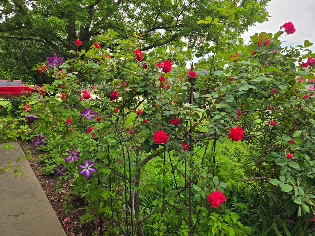 Hacienda Estate - Residential