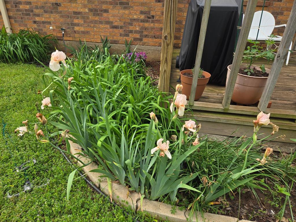 Hacienda Estate - Residential