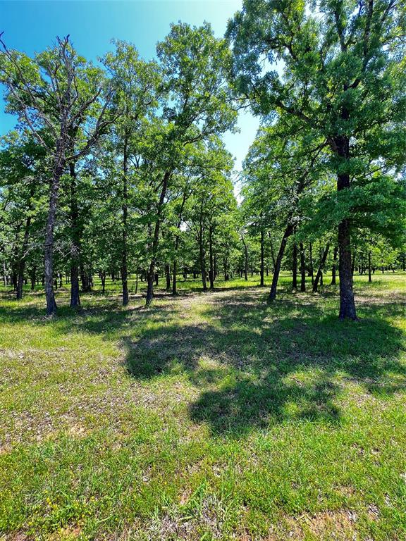 0 TBD Indian Springs