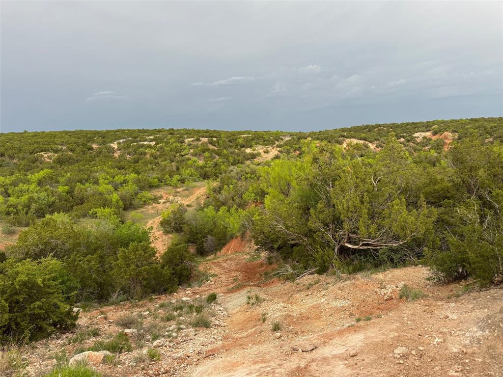 tbd CO RD 360