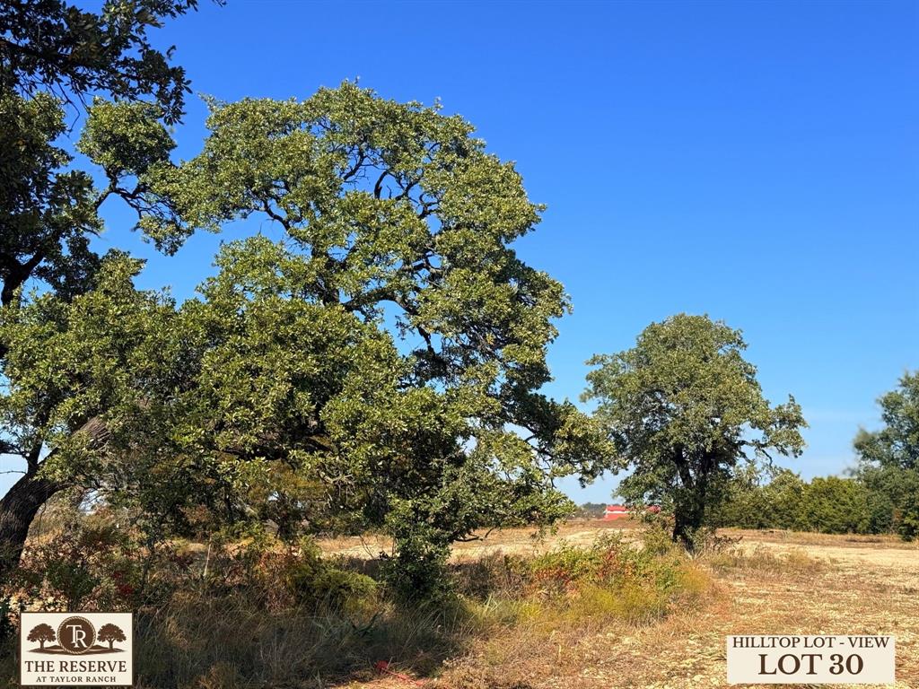 The Reserve at Taylor Ranch - Land