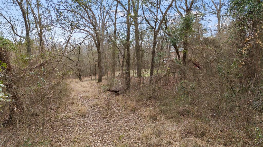 Mount Plesant - Residential