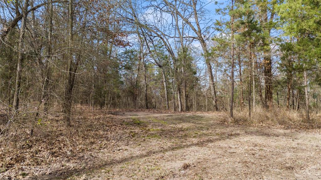 Mount Plesant - Residential