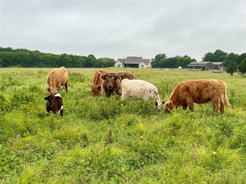 Yellowstone Ranch - Farm
