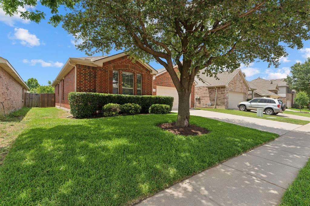 9033 Golden Sunset Trail