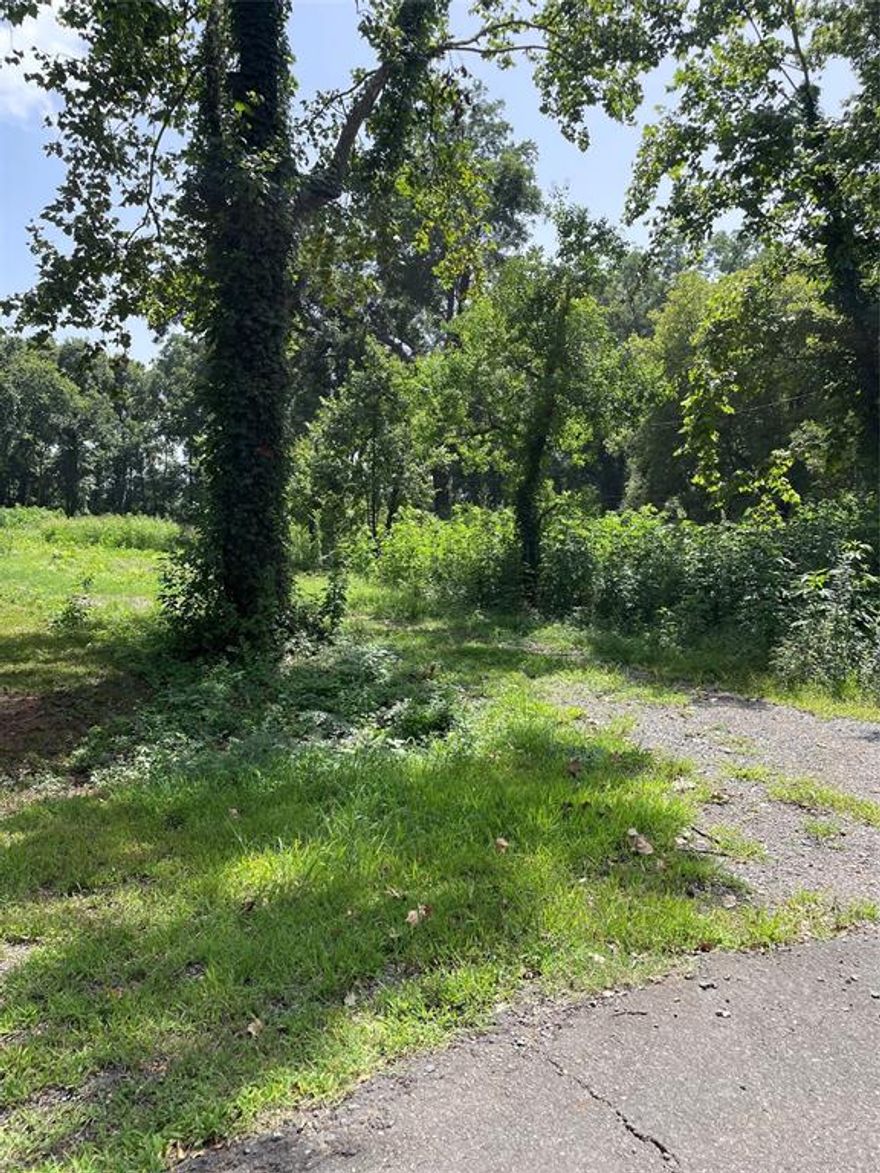 Nice, quiet property over a half an acre, outside the city limits, no city taxes, close to downtown Shreveport & directly across the street from the Red River. The property had a well and septic system years ago, however, they are inoperable currently.  The sellers are unaware of the condition and they are not warranted.  Buyer must verify for himself.
Agent related to seller.