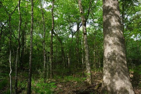 Photo of TBD County Road 1200, Malakoff, TX 75148 (MLS # 21257464)