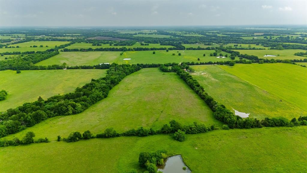 Thomas Hanks Surv Abst #408 - Land