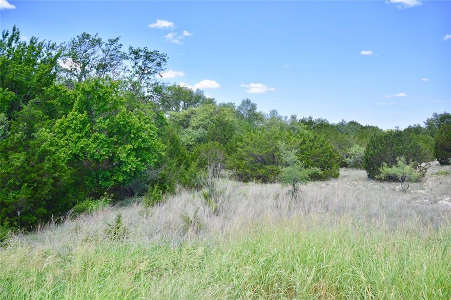 Beautiful property located on the south edge of Goldthwaite with access off of Hwy 183. Property is heavily wooded with a mix of live oaks, cedar, elm and mesquite. Great place to build a home or use a a recreational space. For the right person who has the vision could be a great opportunity to develop into smaller tracts! Current survey less than 4 years old.