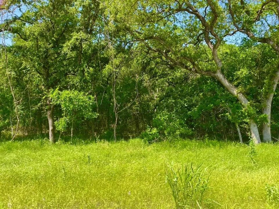 Lot 48 Antrim Court