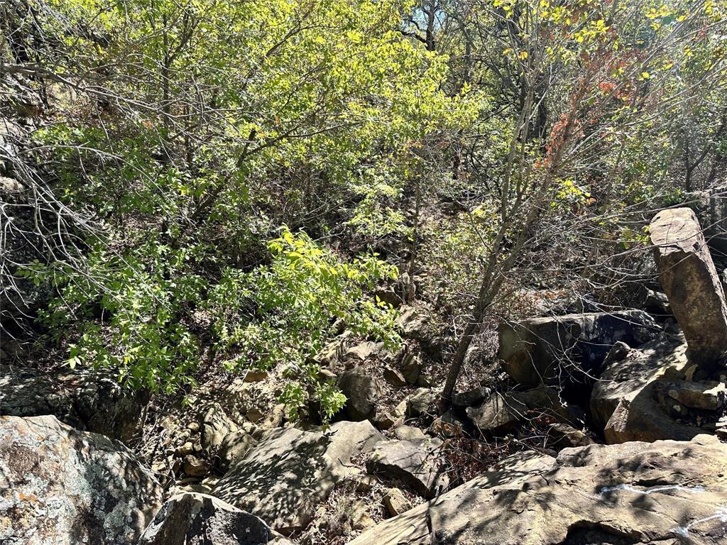 Silver Lakes Ranch - Land