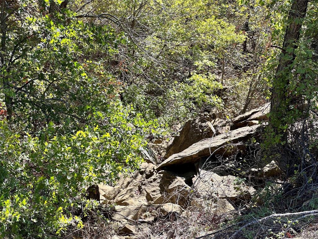 Silver Lakes Ranch - Land