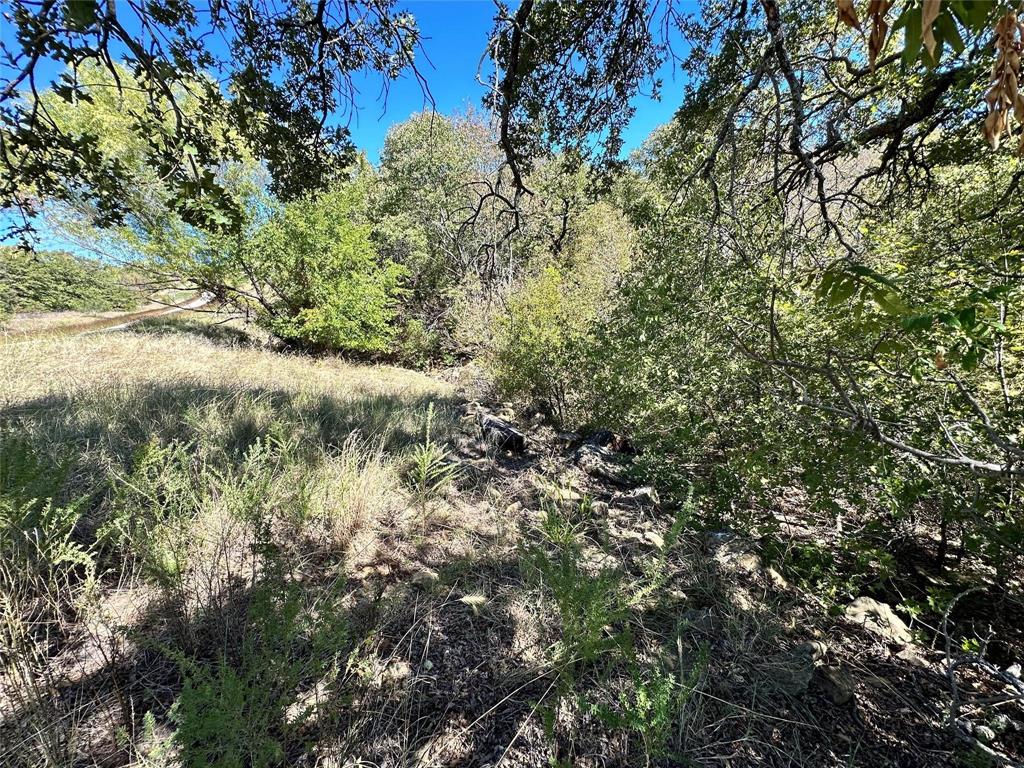 Silver Lakes Ranch - Land