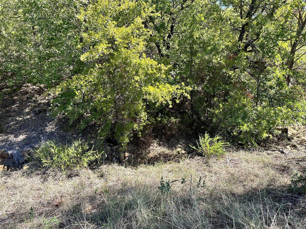 Silver Lakes Ranch - Land