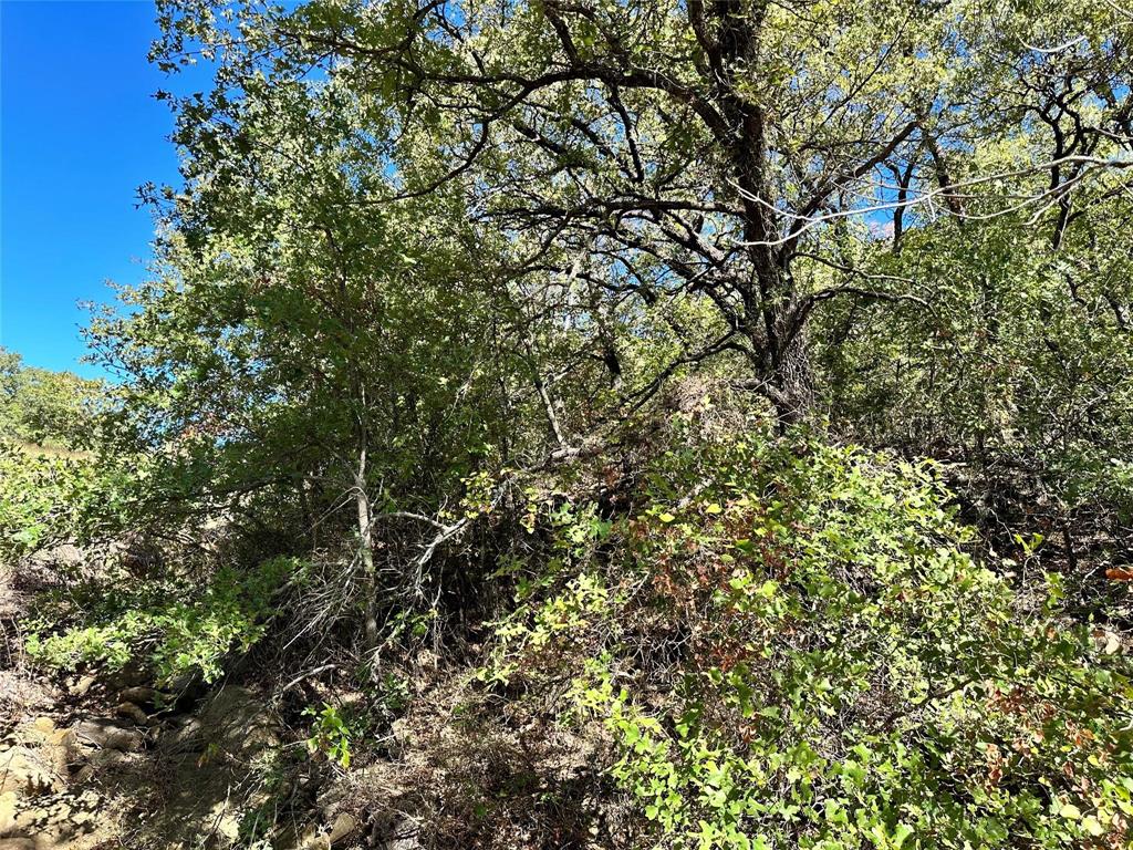 Silver Lakes Ranch - Land