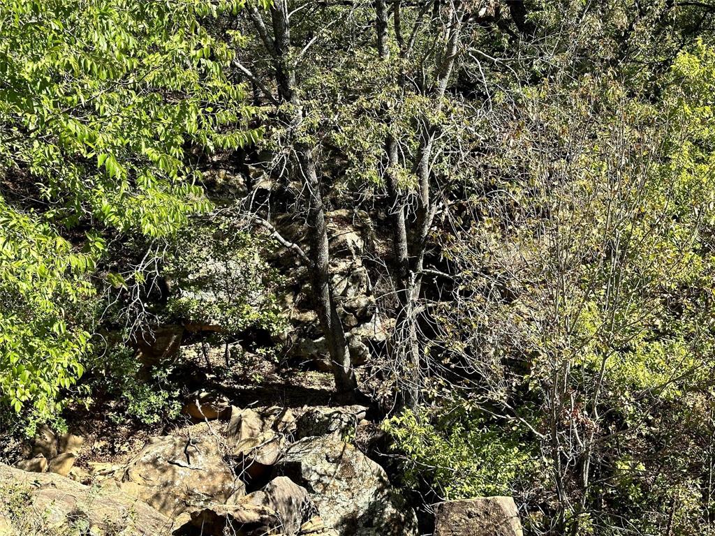 Silver Lakes Ranch - Land