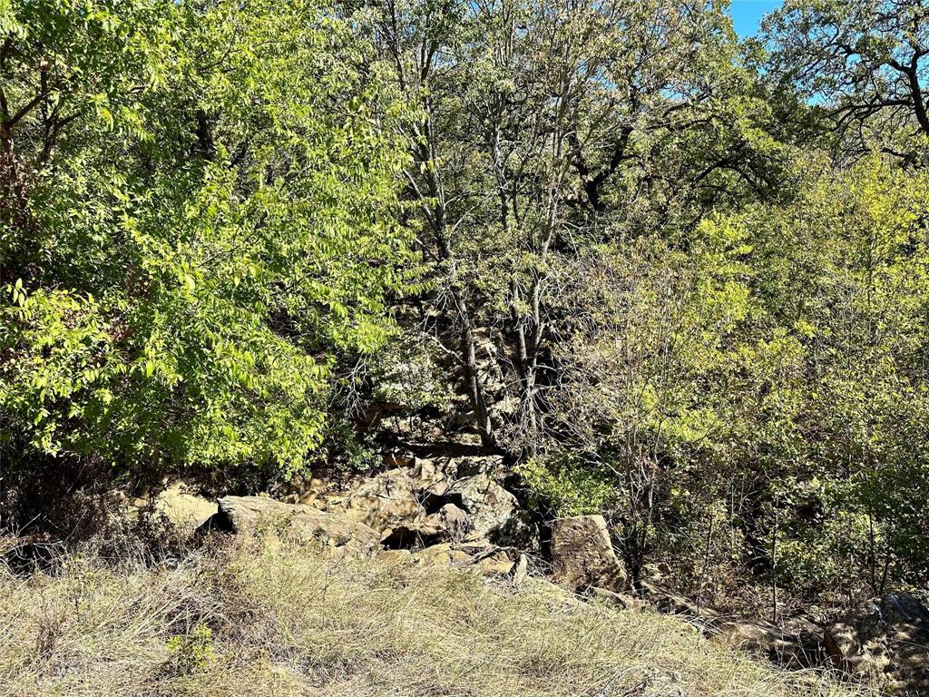 Silver Lakes Ranch - Land