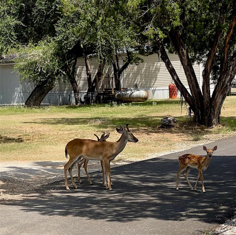 Peninsula - Residential