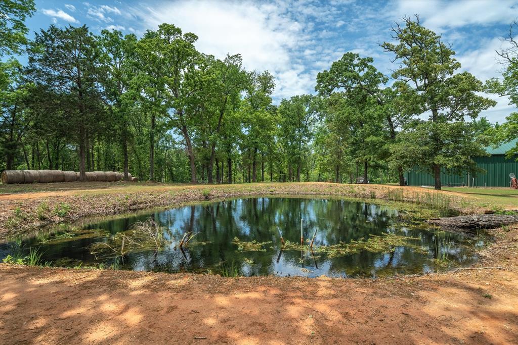 2766 Vz County Road 3104
