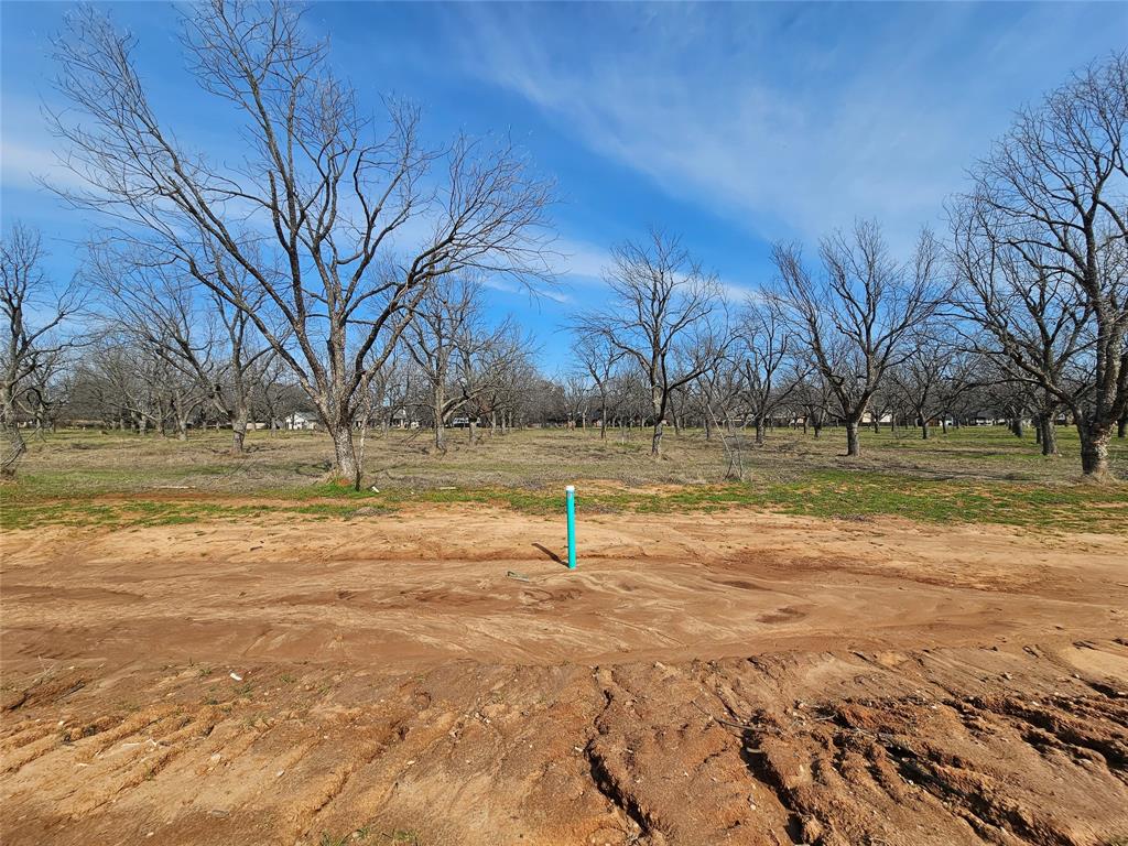Pecan Plantation - Land