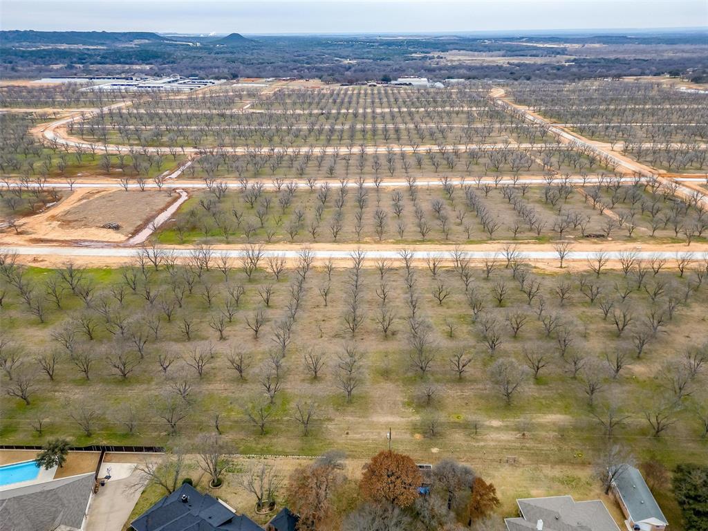 Pecan Plantation - Land