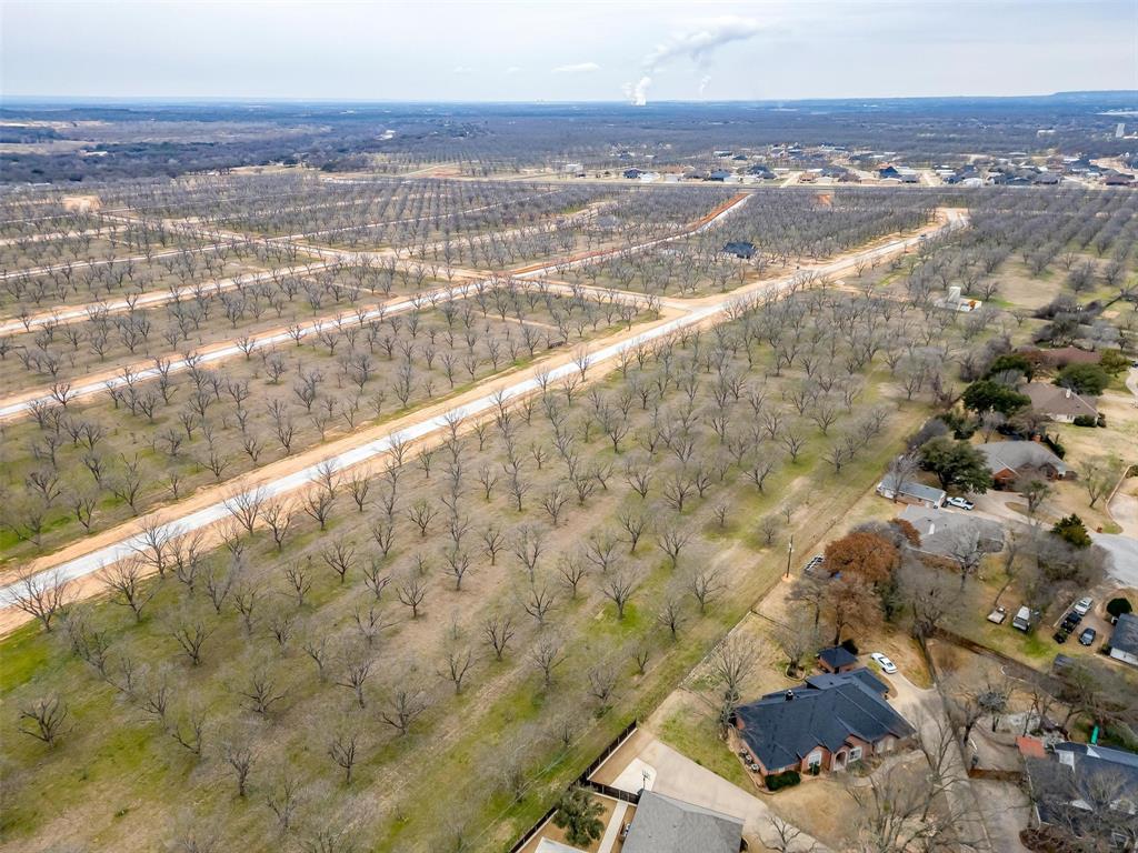 Pecan Plantation - Land