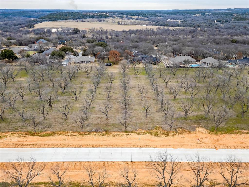 Pecan Plantation - Land