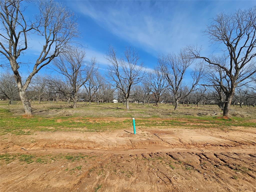 Pecan Plantation - Land