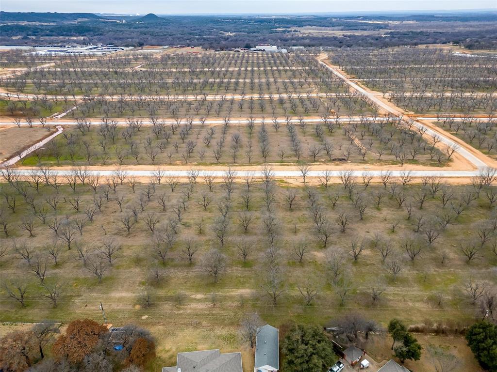 Pecan Plantation - Land