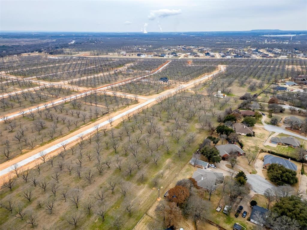 Pecan Plantation - Land
