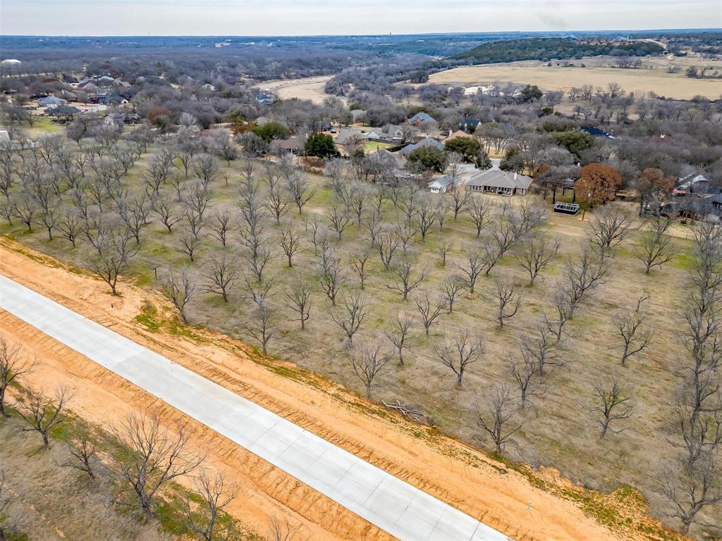 Pecan Plantation - Land